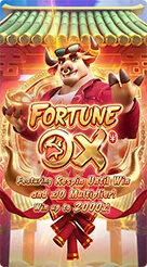 RR89 · Fortune Ox